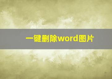 一键删除word图片