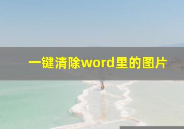 一键清除word里的图片