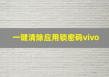 一键清除应用锁密码vivo