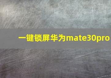 一键锁屏华为mate30pro