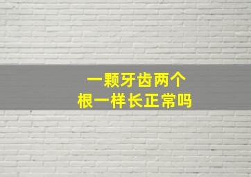 一颗牙齿两个根一样长正常吗