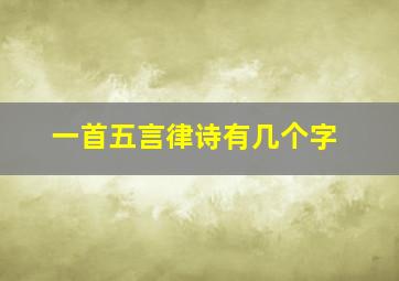 一首五言律诗有几个字