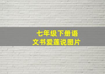 七年级下册语文书爱莲说图片