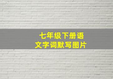 七年级下册语文字词默写图片