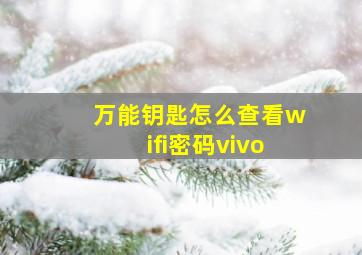 万能钥匙怎么查看wifi密码vivo