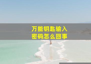 万能钥匙输入密码怎么回事