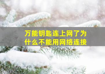 万能钥匙连上网了为什么不能用网络连接