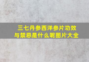 三七丹参西洋参片功效与禁忌是什么呢图片大全