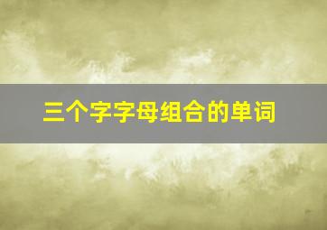 三个字字母组合的单词