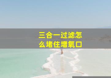 三合一过滤怎么堵住增氧口