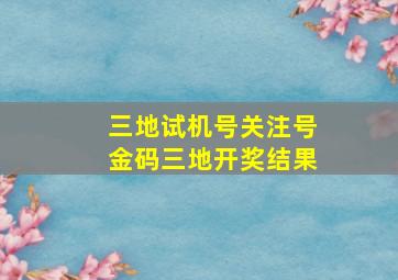 三地试机号关注号金码三地开奖结果