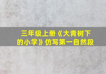 三年级上册《大青树下的小学》仿写第一自然段