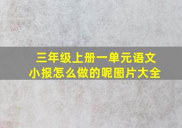 三年级上册一单元语文小报怎么做的呢图片大全