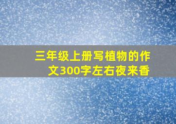 三年级上册写植物的作文300字左右夜来香