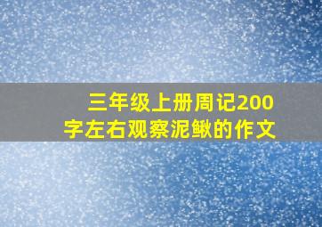 三年级上册周记200字左右观察泥鳅的作文