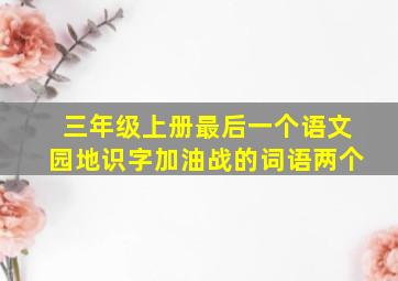 三年级上册最后一个语文园地识字加油战的词语两个