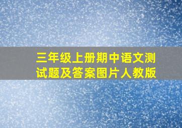 三年级上册期中语文测试题及答案图片人教版