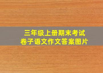 三年级上册期末考试卷子语文作文答案图片