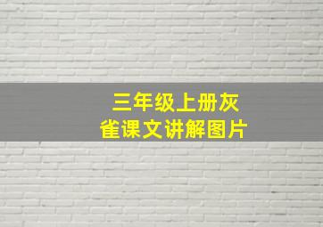 三年级上册灰雀课文讲解图片