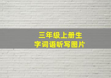 三年级上册生字词语听写图片