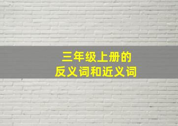 三年级上册的反义词和近义词