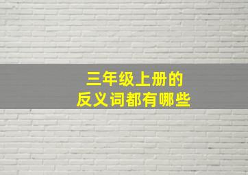 三年级上册的反义词都有哪些