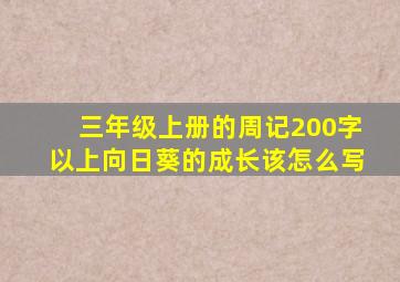 三年级上册的周记200字以上向日葵的成长该怎么写