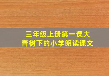 三年级上册第一课大青树下的小学朗读课文