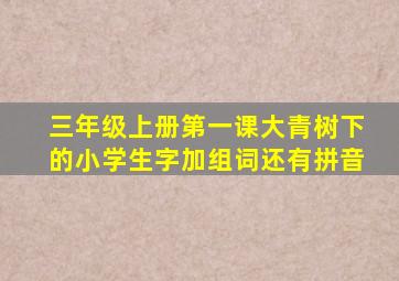 三年级上册第一课大青树下的小学生字加组词还有拼音