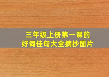 三年级上册第一课的好词佳句大全摘抄图片