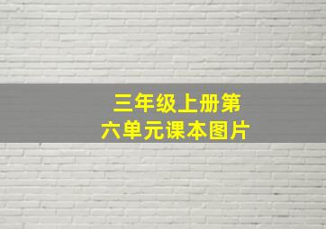 三年级上册第六单元课本图片