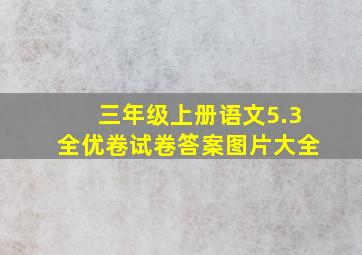 三年级上册语文5.3全优卷试卷答案图片大全