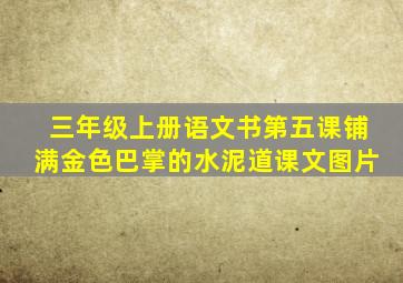 三年级上册语文书第五课铺满金色巴掌的水泥道课文图片