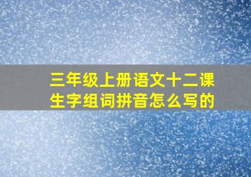 三年级上册语文十二课生字组词拼音怎么写的