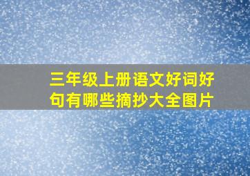 三年级上册语文好词好句有哪些摘抄大全图片