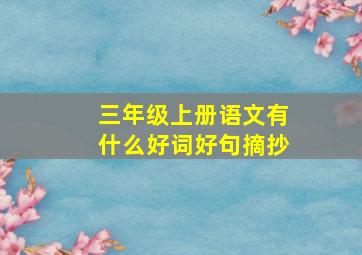 三年级上册语文有什么好词好句摘抄