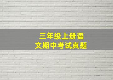 三年级上册语文期中考试真题