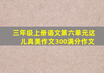 三年级上册语文第六单元这儿真美作文300满分作文