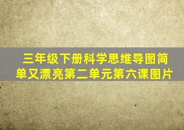 三年级下册科学思维导图简单又漂亮第二单元第六课图片