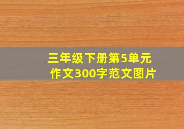 三年级下册第5单元作文300字范文图片