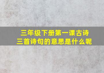 三年级下册第一课古诗三首诗句的意思是什么呢