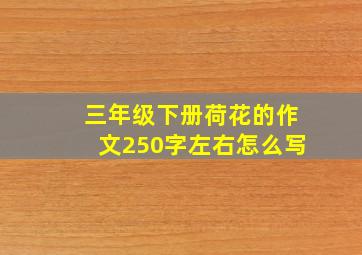 三年级下册荷花的作文250字左右怎么写