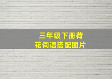 三年级下册荷花词语搭配图片