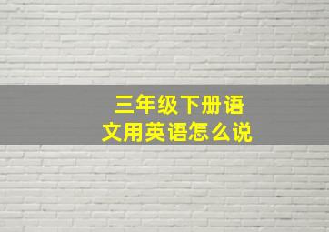 三年级下册语文用英语怎么说