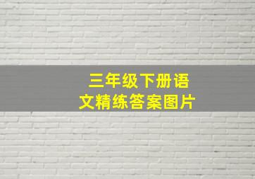 三年级下册语文精练答案图片