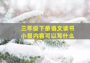 三年级下册语文读书小报内容可以写什么