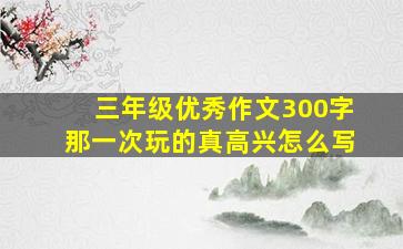 三年级优秀作文300字那一次玩的真高兴怎么写