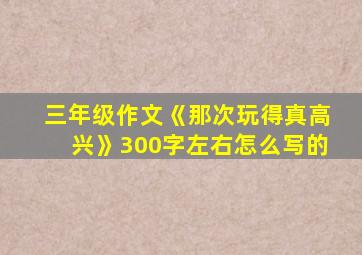 三年级作文《那次玩得真高兴》300字左右怎么写的