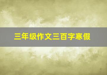 三年级作文三百字寒假