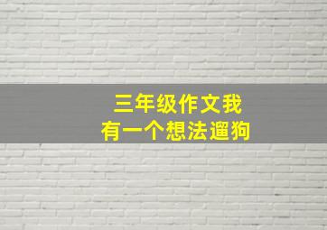 三年级作文我有一个想法遛狗